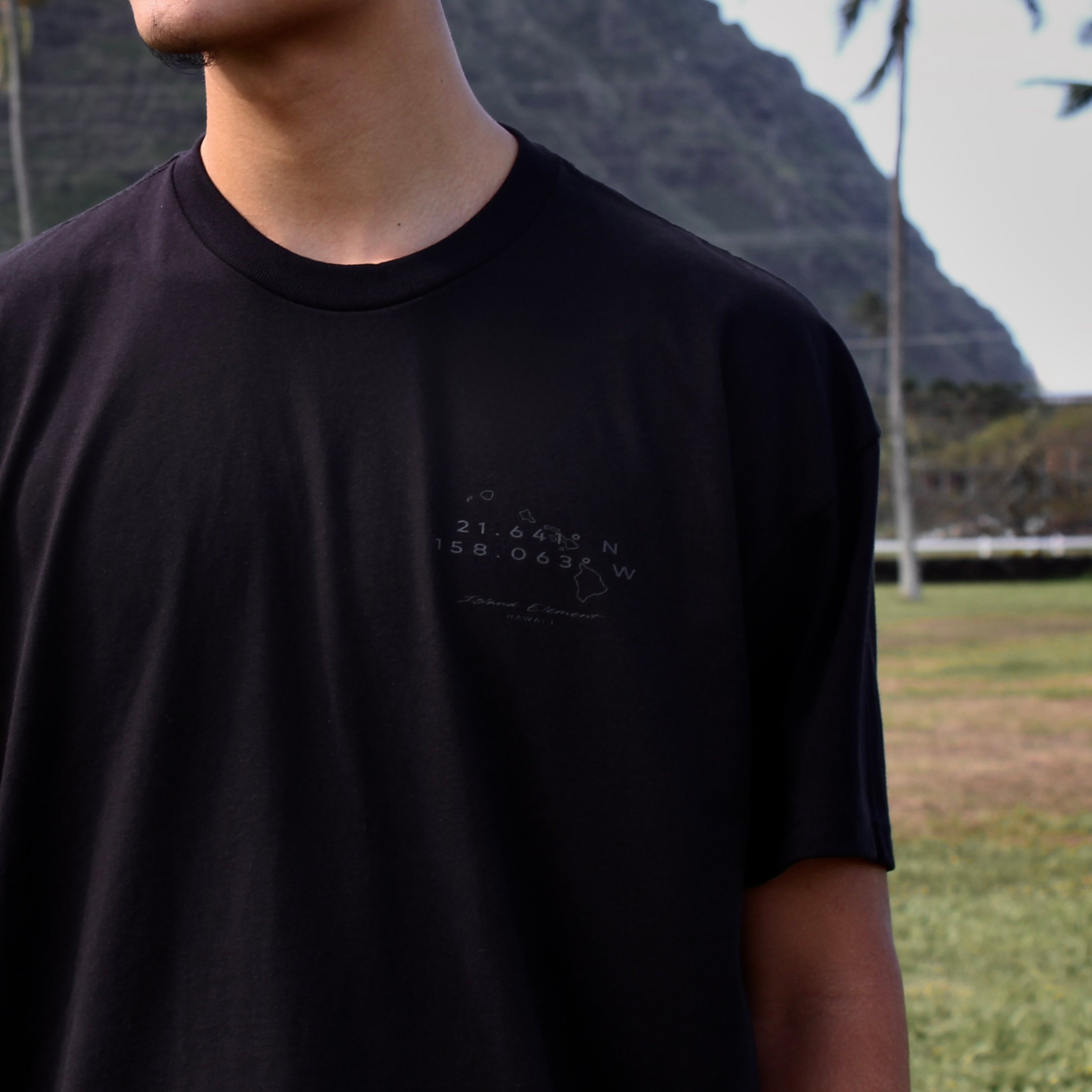 Island Topography | Heavyweight Tee